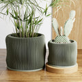 Bubbly Planter | 6" image 1